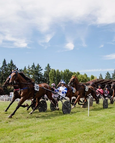 Hippodrome de La Roche-Posay