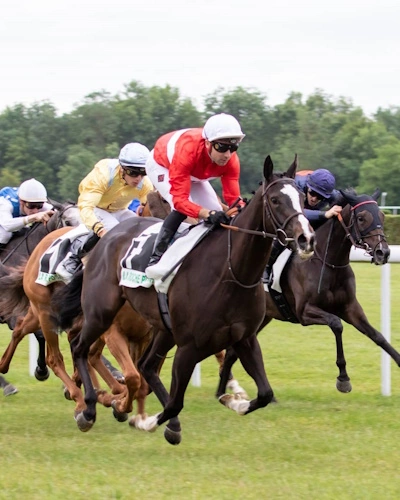 Hippodrome de La Roche-Posay