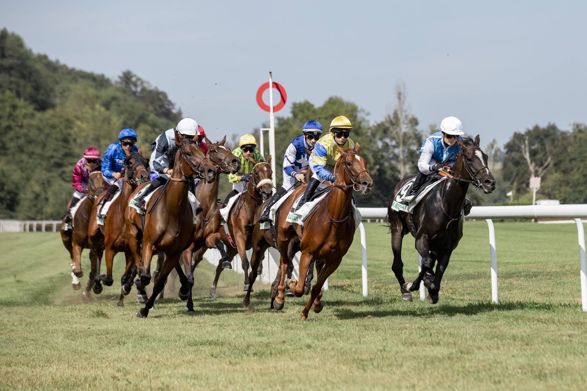 Hippodrome de La Roche-Posay La Roche-Posay